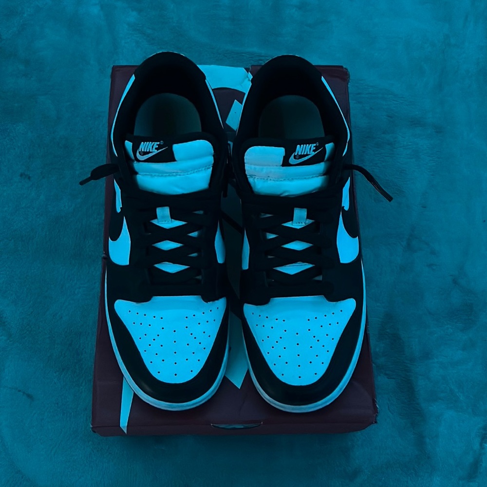 Nike Panda Dunk Lows